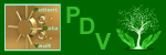 PDV